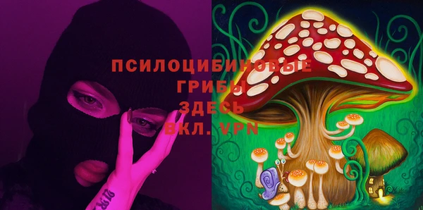 тгк Лихославль