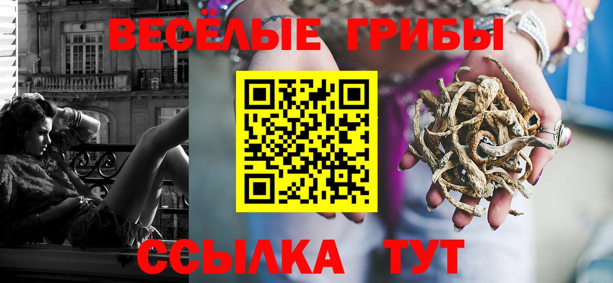 Краснотурьинск  Псилоцибиновые грибы мицелий  Вход с VPN 
